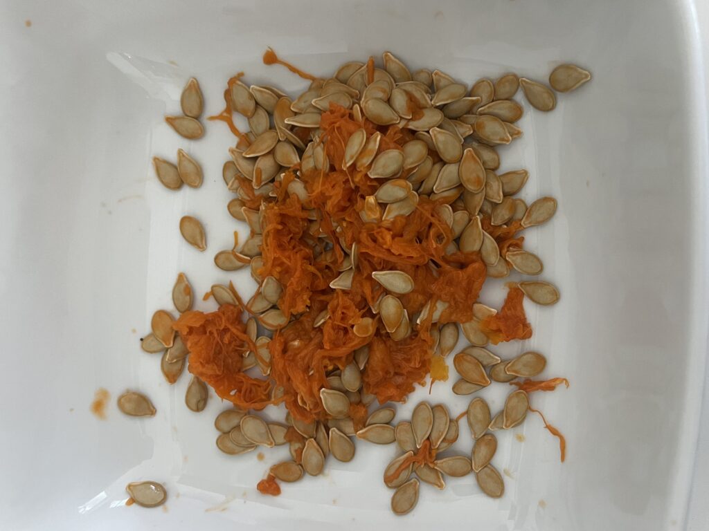 Raw seeds with orange guts in a bowl
