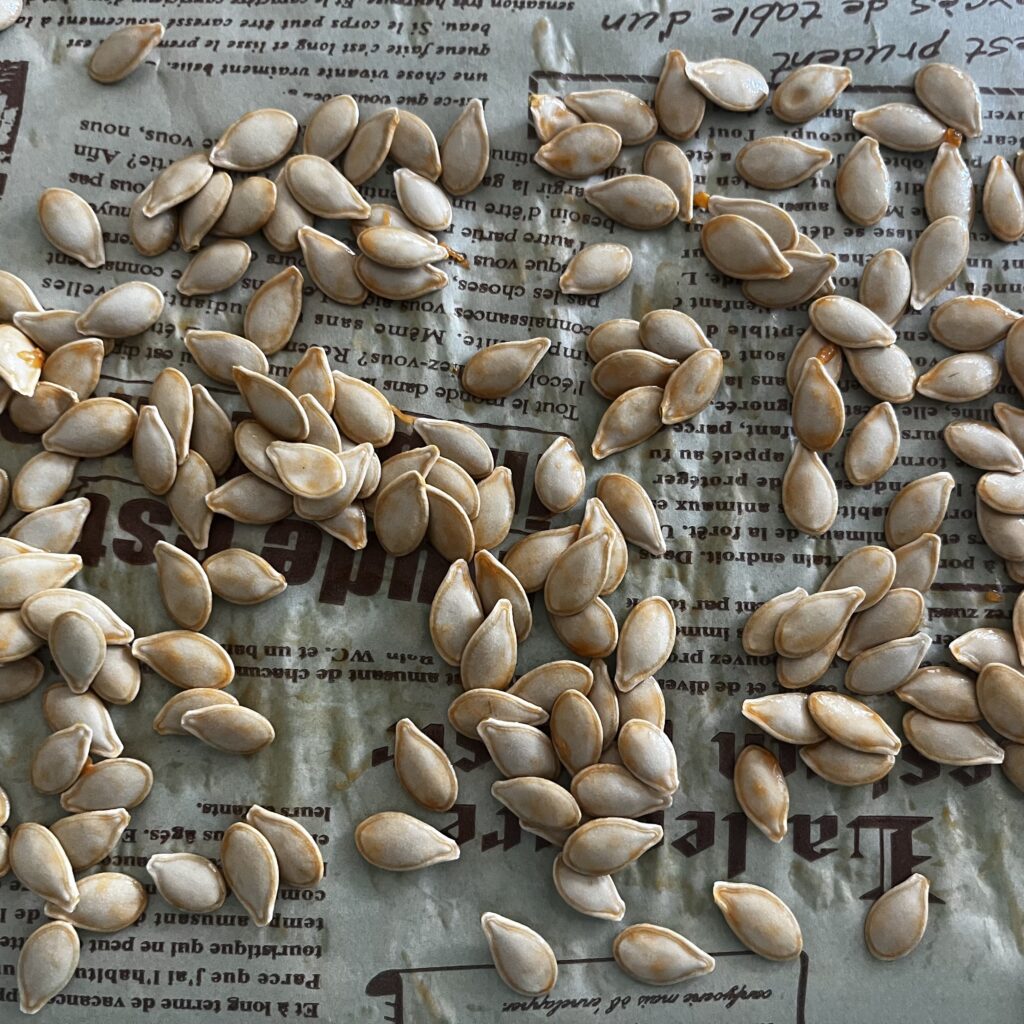 Raw squash seeds on a lined baking sheet