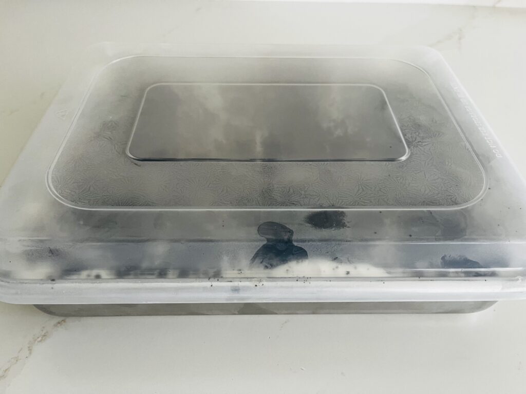 Cake pan with a covered lid. Cake ready for the freezer.