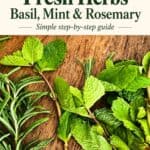 How to Mince Fresh Herbs: Basil, Mint and Rosemary