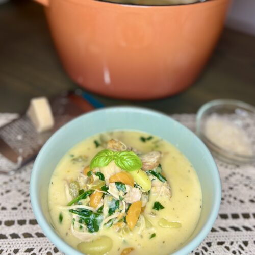 a bowl of chicken and gnocchi soup with parmesan cheese