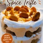 Delicious pumpkin spice trifle with whipped cream, cookies, and caramel drizzle, perfect for fall desserts.