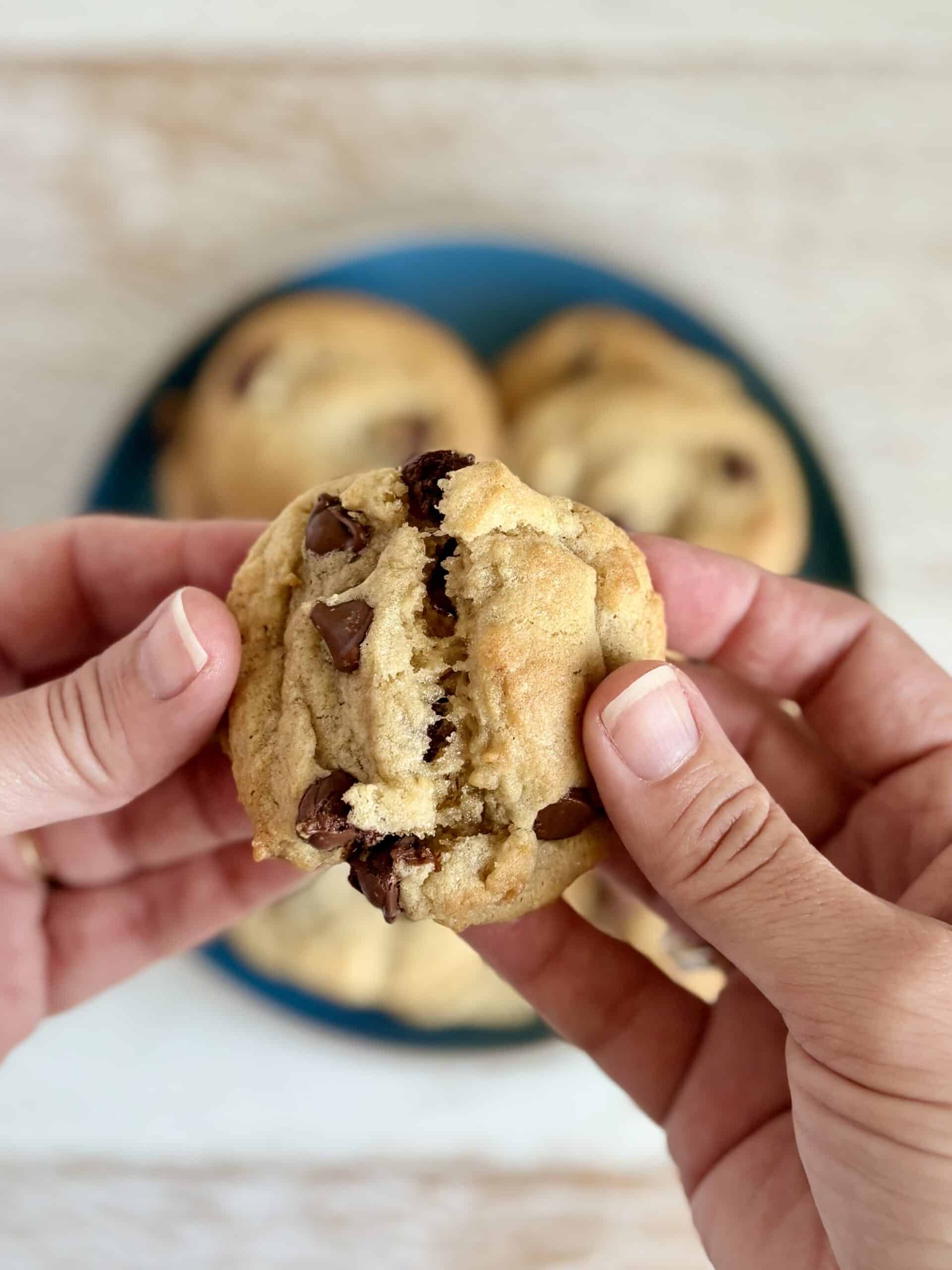 A person holding a chocolate chip cookie in their hand