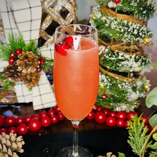 Sparkling Cranberry Mocktail