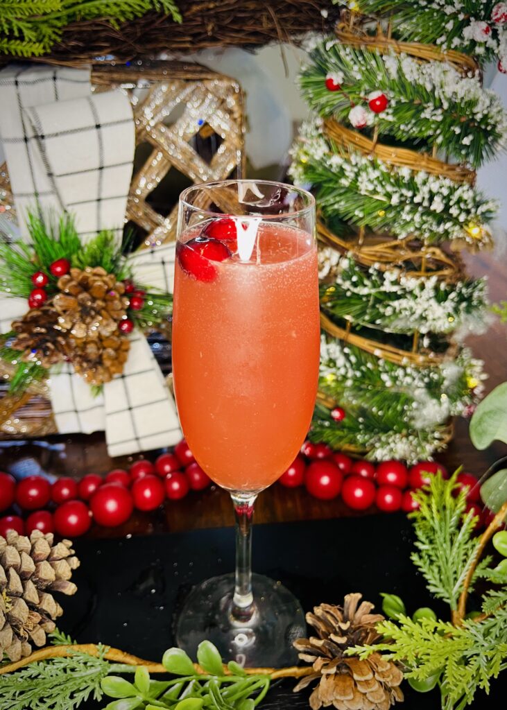 Sparkling Cranberry Mocktail