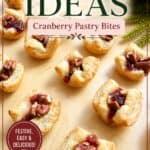 Cranberry pastry bites with a flaky crust and cranberry filling, perfect for festive occasions and easy to prepare.