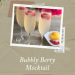 Bubble Berry Mocktail