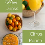 Citrus Party Punch
