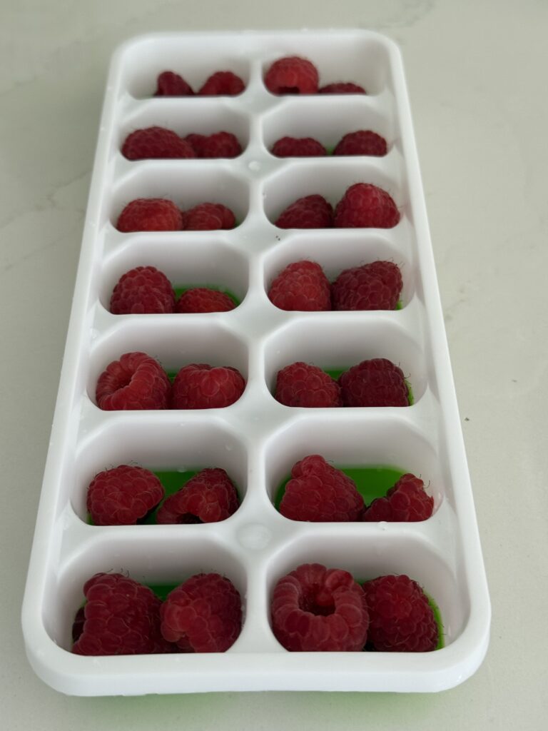 fresh raspberries in an ice cube trays on the counter.