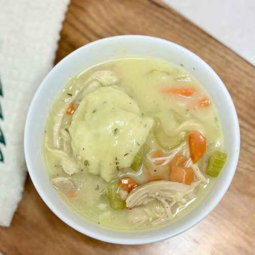 chicken and dumplings in a bowl on a counter