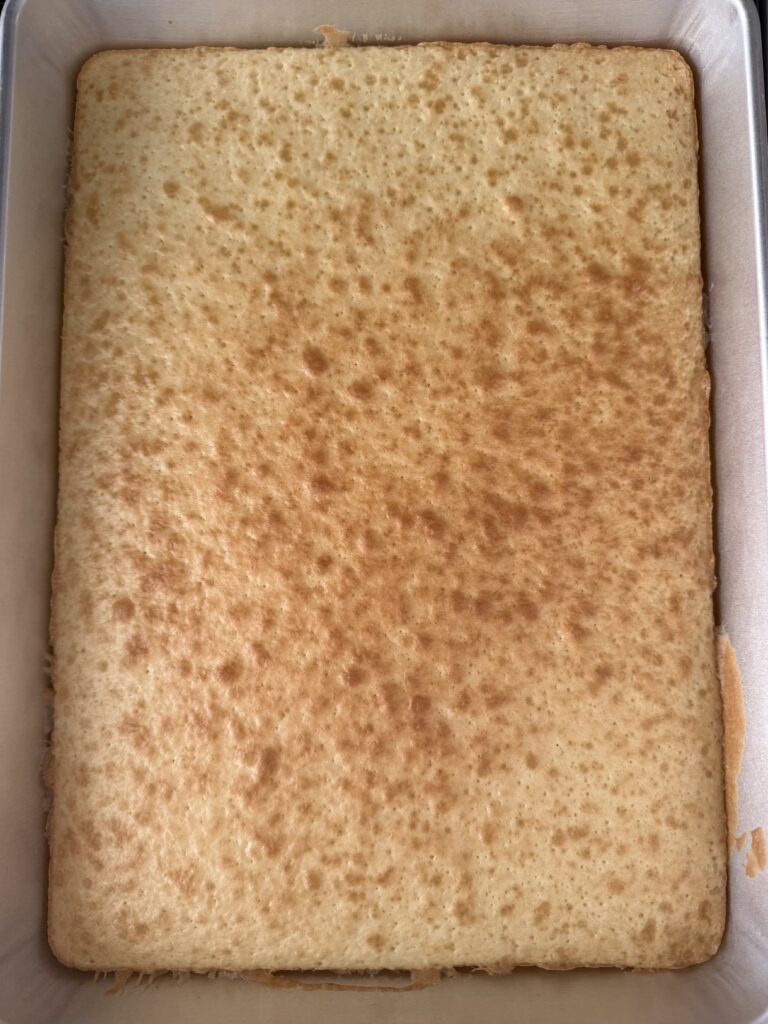 Baked white cake in a silver cake pan, on the stovetop.