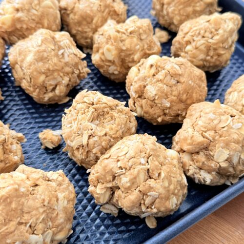 White Chocolate & Coconut Protein Bites