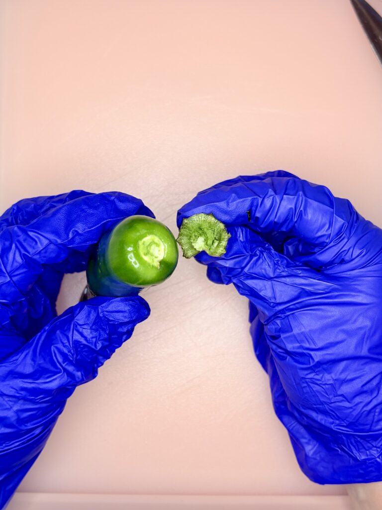 a stem being removed from a jalapeño pepper by hands wearing gloves