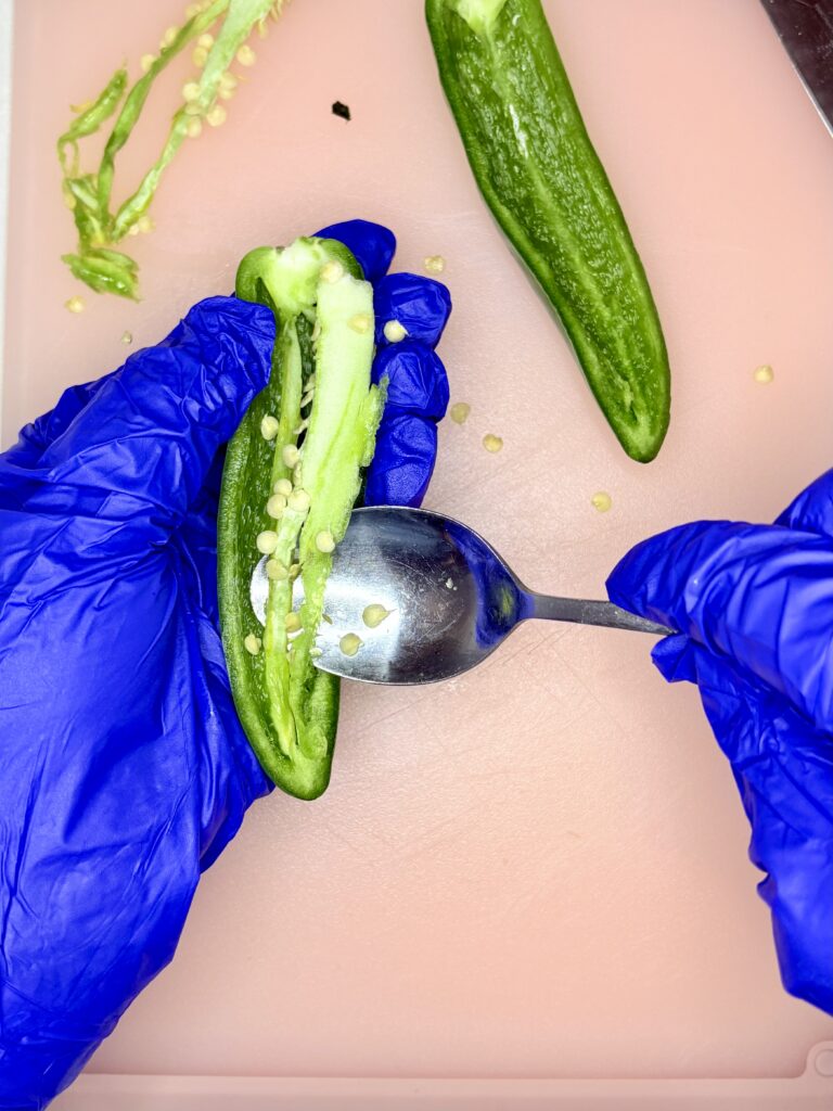 gloved hands using a spoon to scrape out seeds of a jalapeño pepper