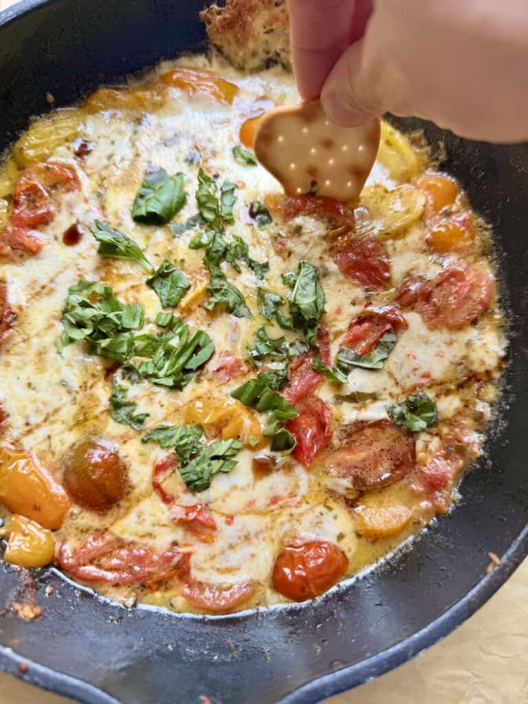 Freshly cooked baked mozzarella with cherry tomatoes, green herbs, and melted cheese in a black skillet, ready to enjoy a delicious hot dip.