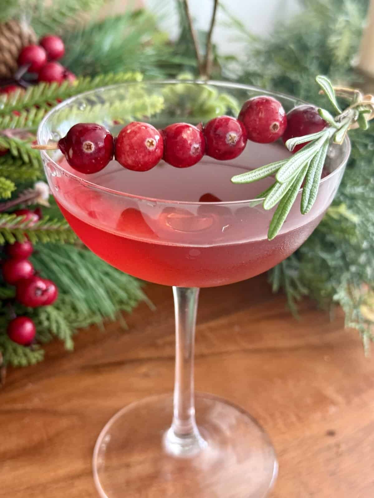 Fresh cranberry cocktail garnished with a sprig of rosemary, served in a elegant coupe glass with Christmas greenery in the background. Perfect for holiday parties and festive celebrations.