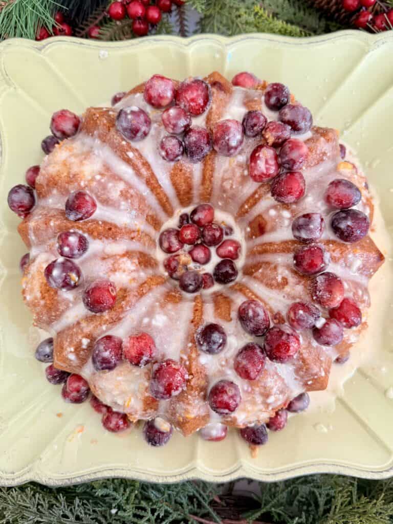 Fresh cranberry cake with icing, topped with whole cranberries, on a decorative plate, ideal for holiday gatherings, featuring a moist crumb and vibrant seasonal fruit.