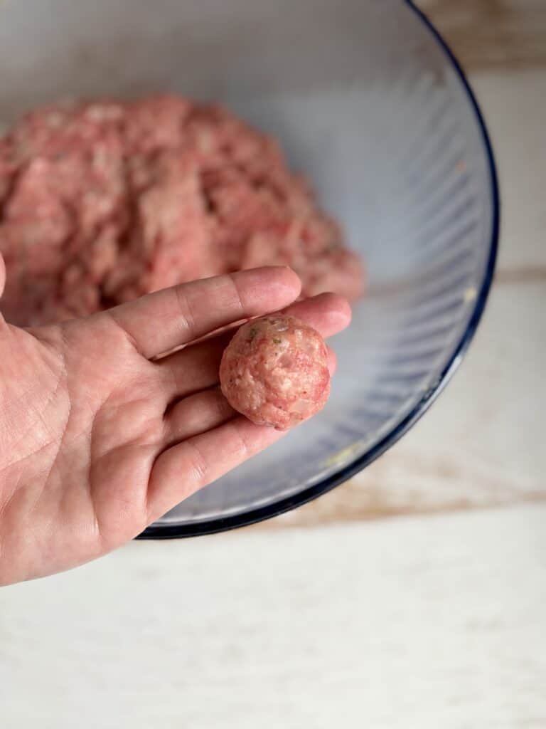 A hand holding a rolled meatball over a bowl.