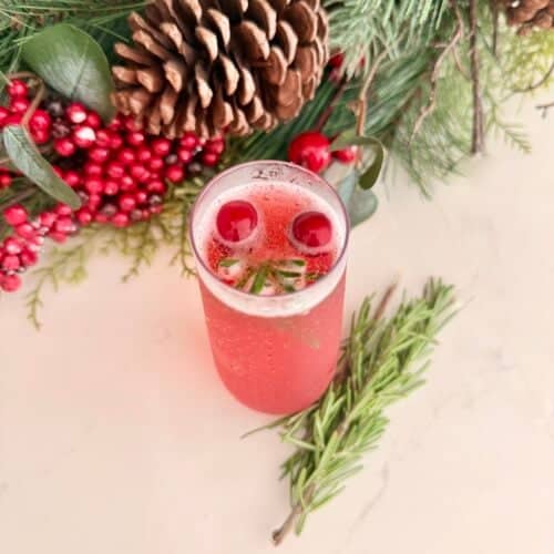 Holiday cranberry Pomegranate Sparkler
