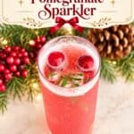 Holiday Cranberry Pomegranate Sparkler